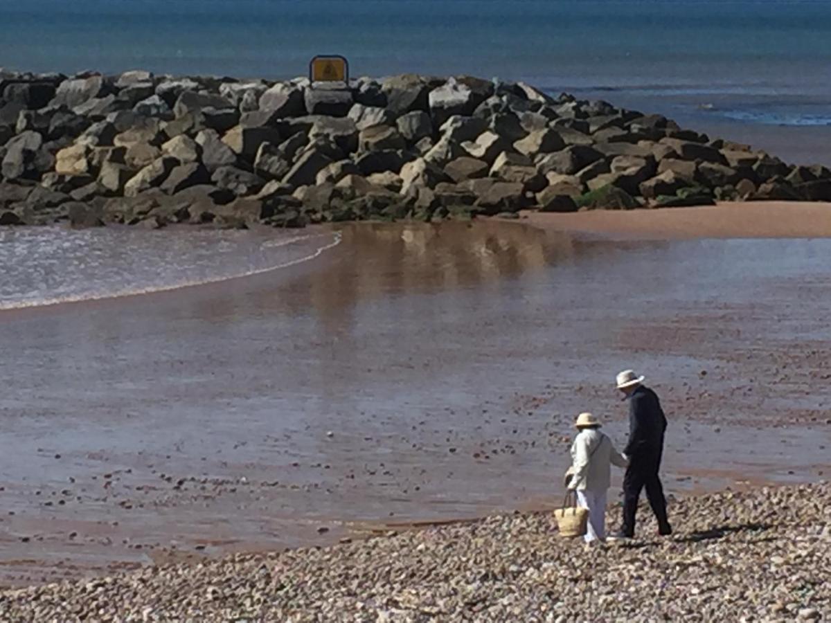 Atlantic Apartment Sidmouth Bagian luar foto